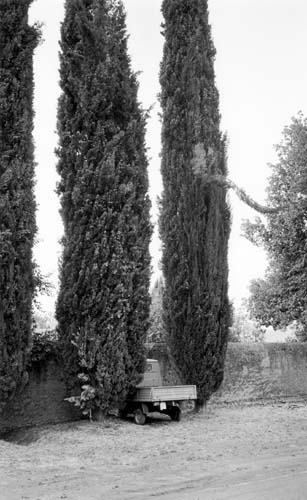 italy_hadrians_trees